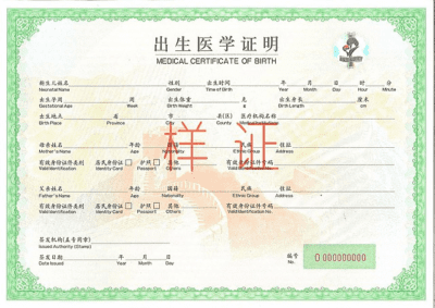 🍼 Birth Certificate in China: Complete Guide (2024)