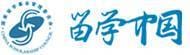 🎓 Chinese Government Scholarships: A Gateway for International Students